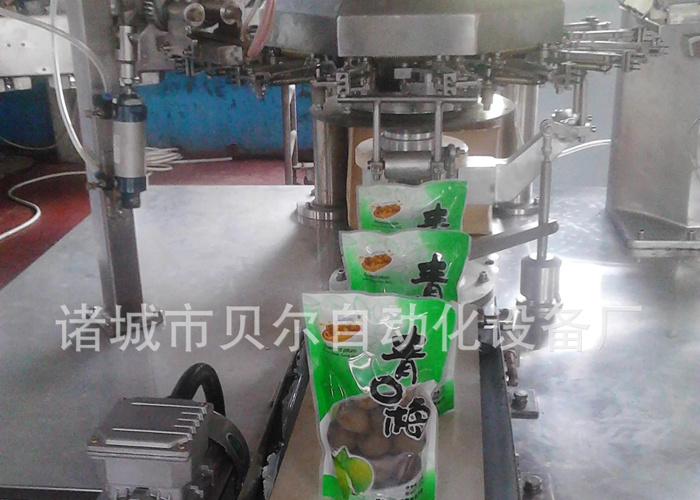 全自動給袋式包裝機